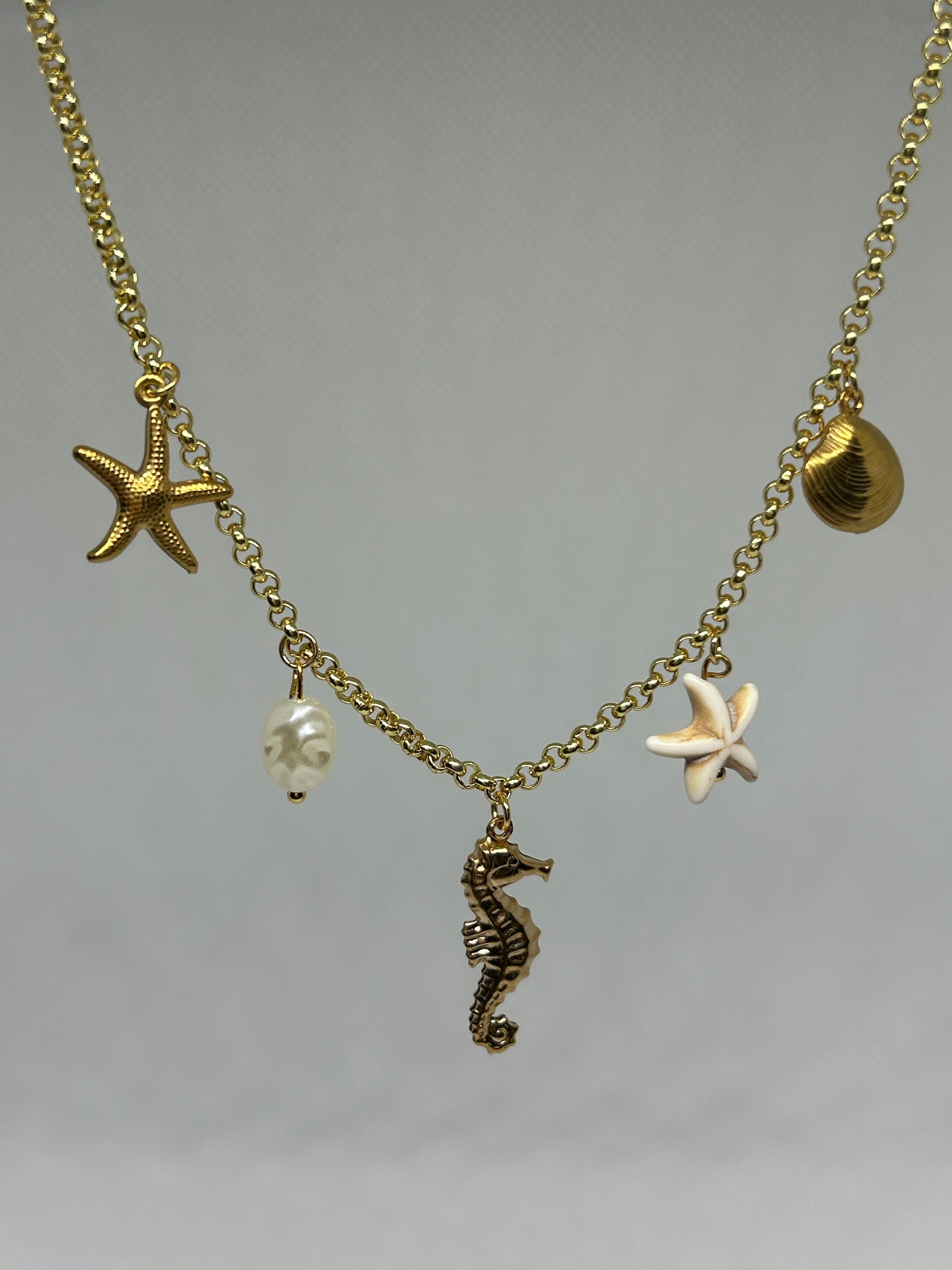 Collier et Bracelet Charm