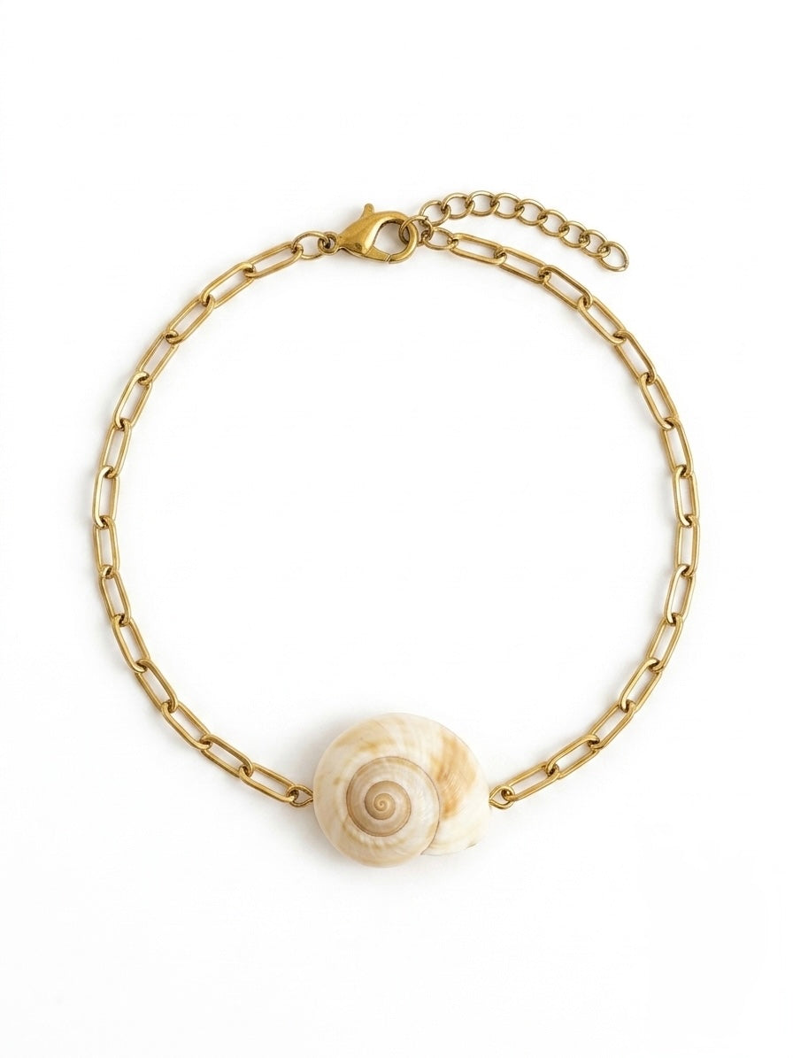 Set Bracelets Coquillages Naturels