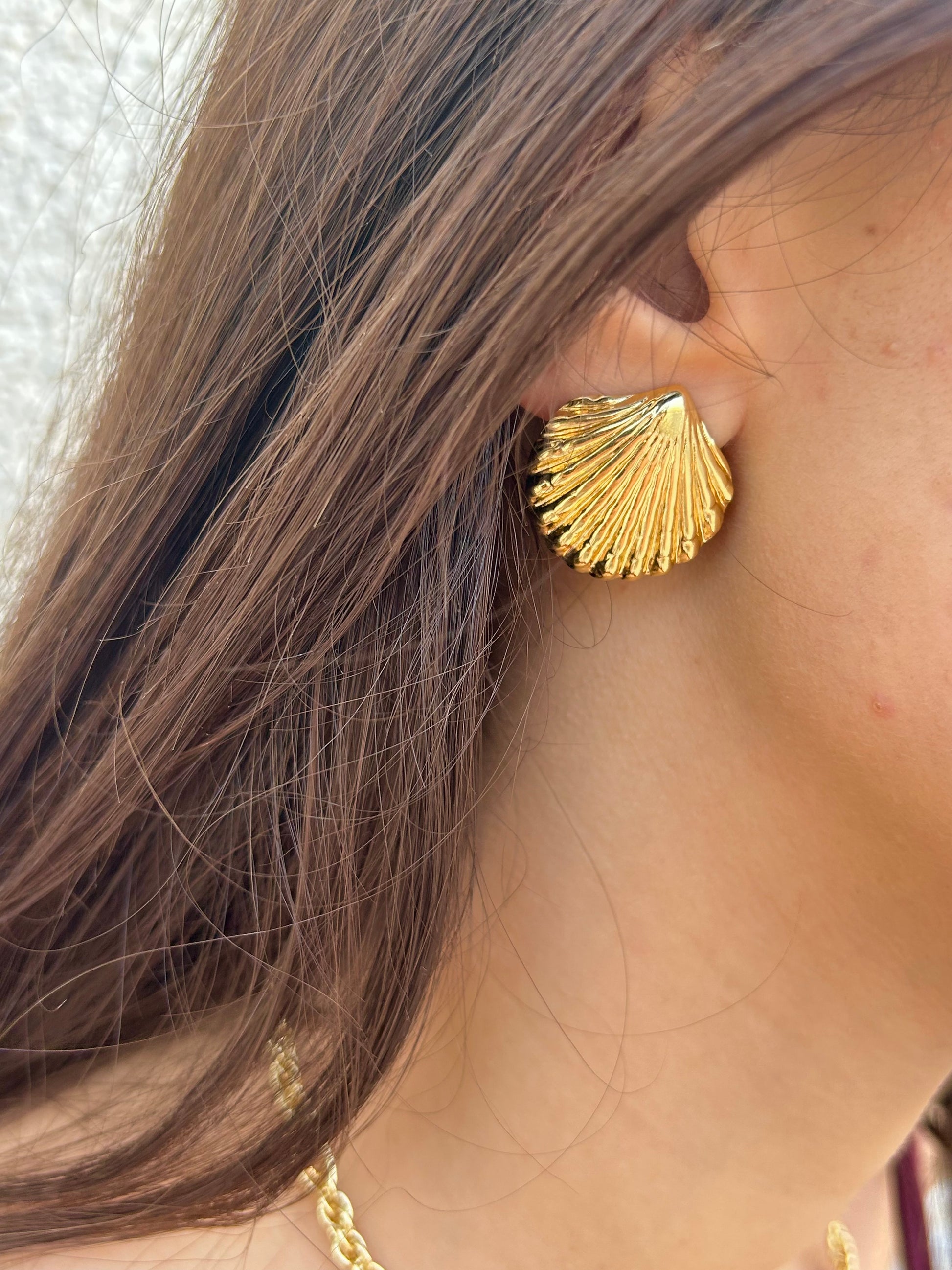 Boucles maia