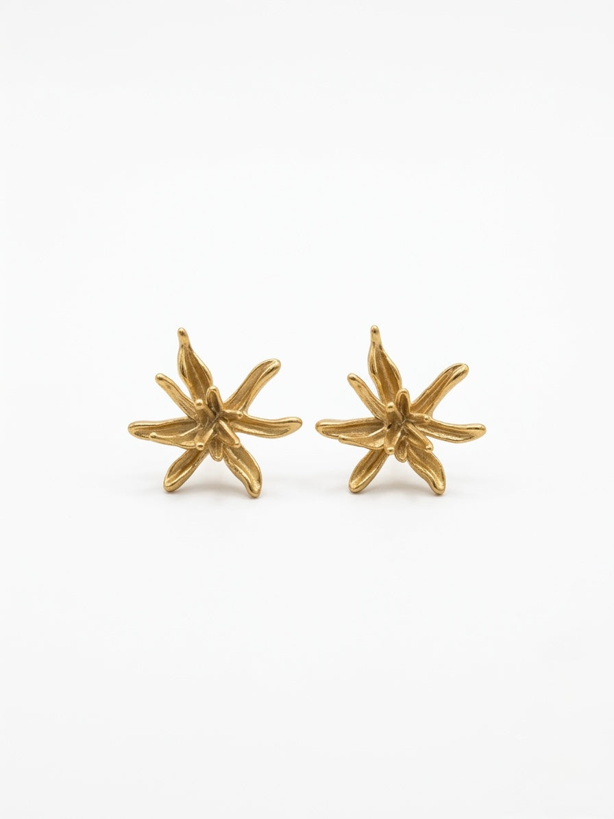 Boucles d’oreilles Étoile Filante