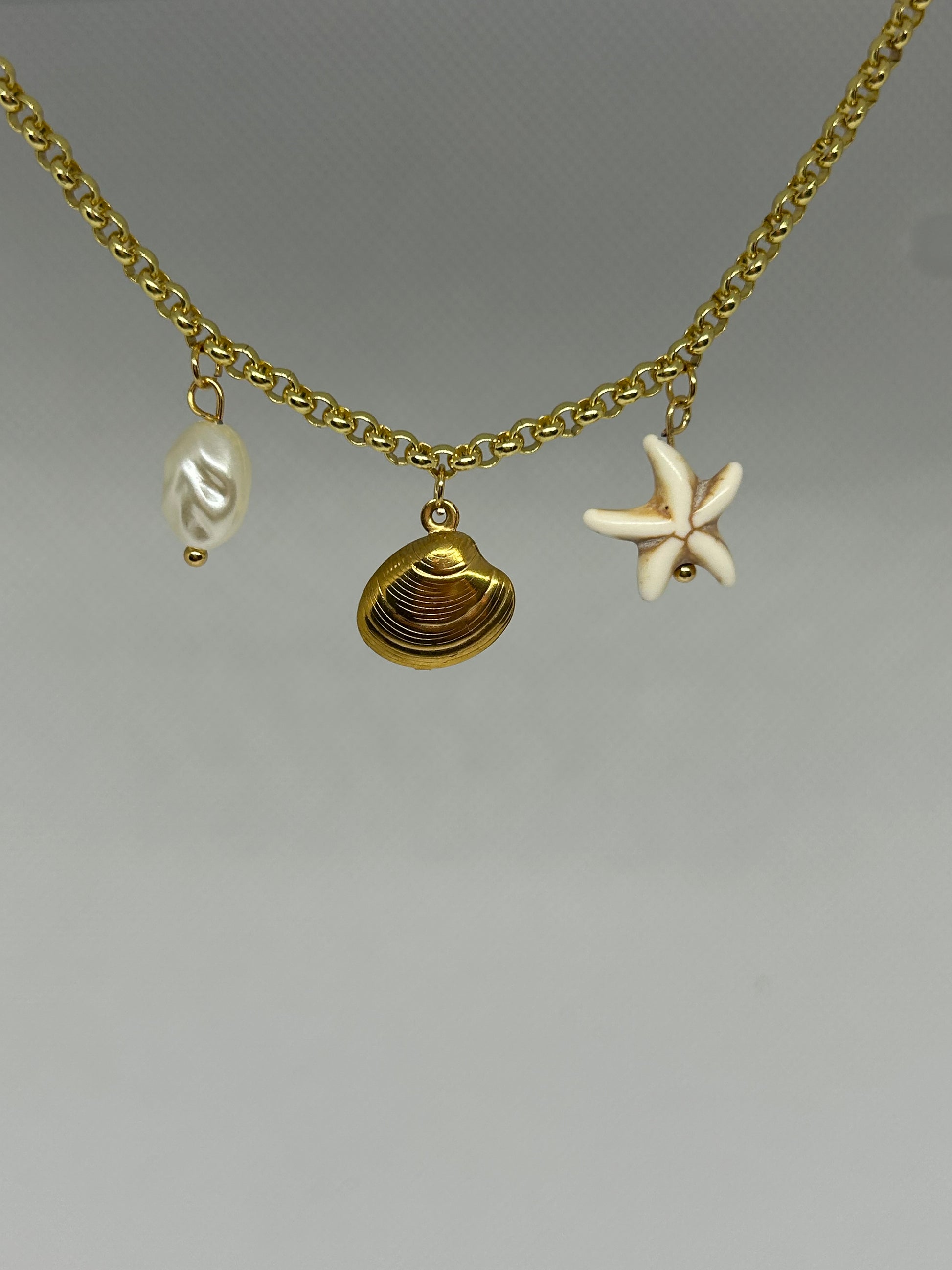 Collier et Bracelet Charm