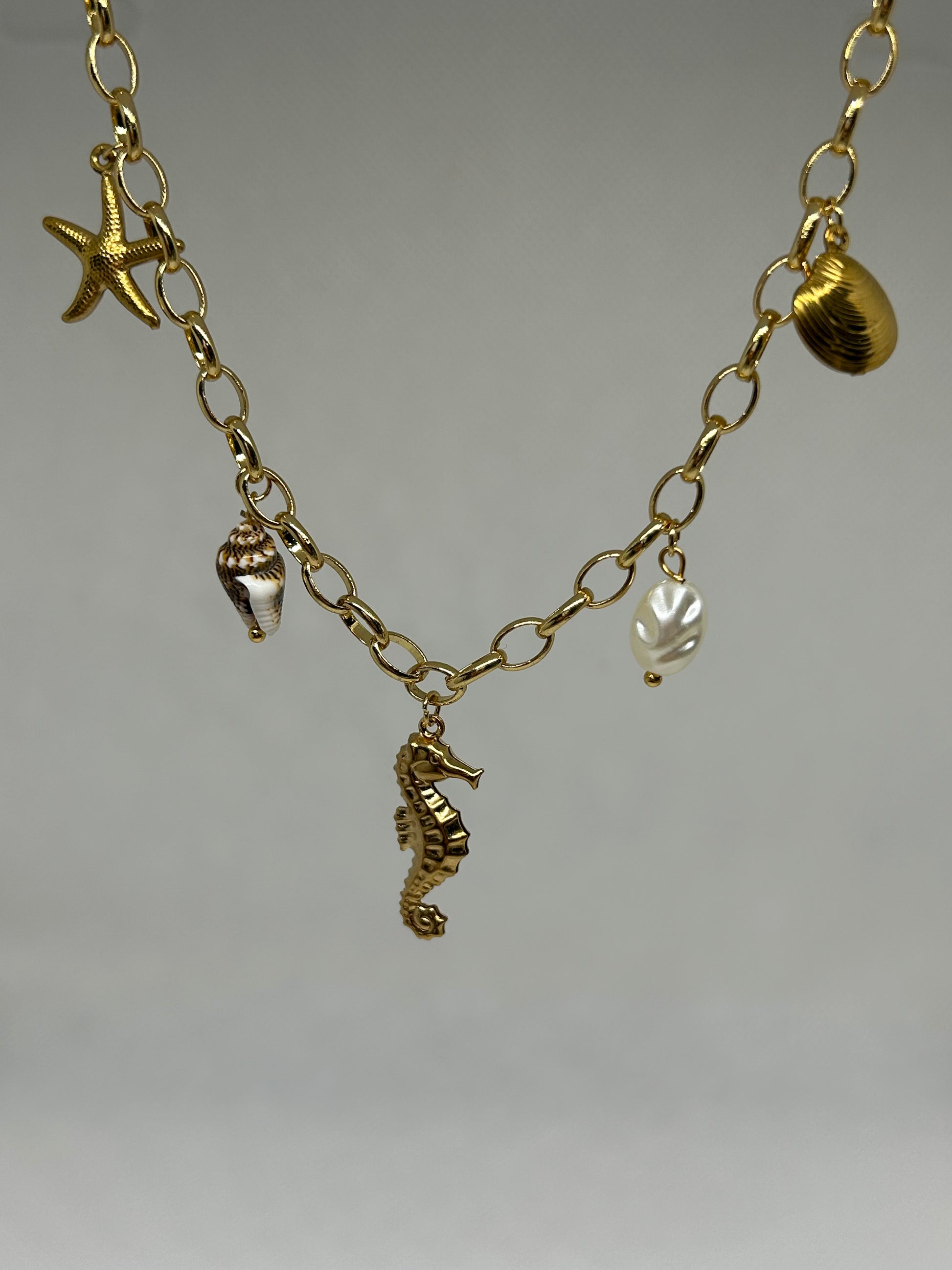 Collier et Bracelet charm