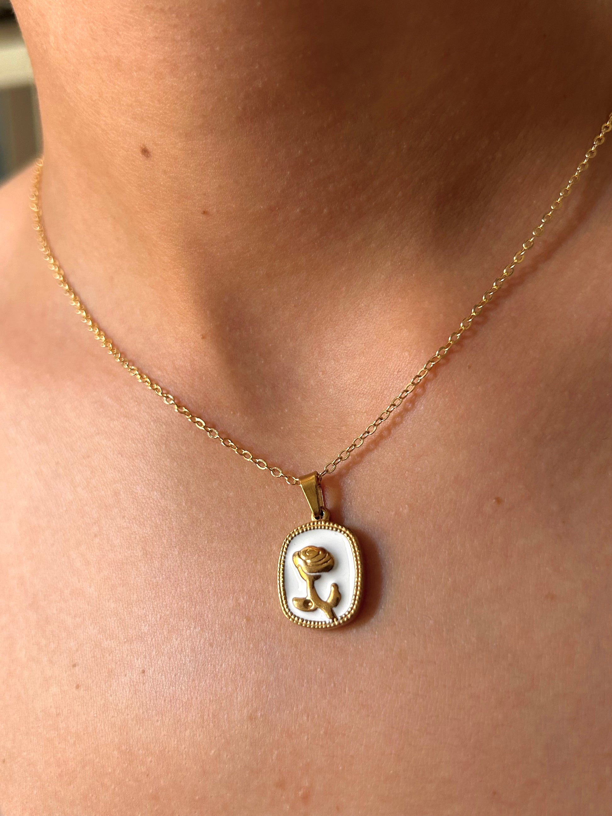 Collier Médaillon Rose Éternelle